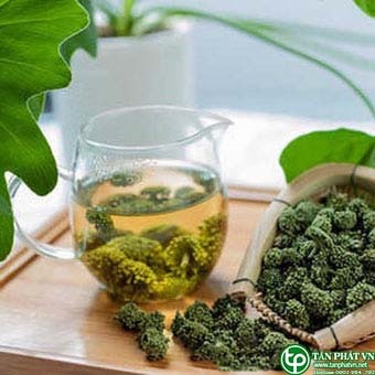 Cửa hàng mua bán nụ hoa tam thất tại quận 1 uy tín