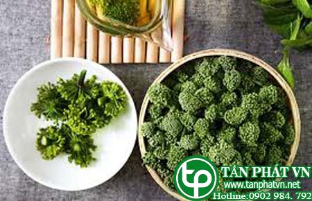 Địa chỉ bán nụ hoa tam thất tại An Giang chữa bệnh thiếu máu