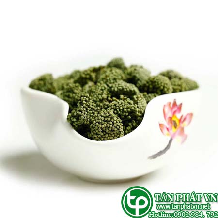 Địa chỉ bán nụ hoa tam thất tại Bạc Liêu chữa bệnh thiếu máu