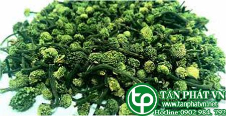 Địa chỉ bán nụ hoa tam thất tại Bến Tre chữa mất ngủ