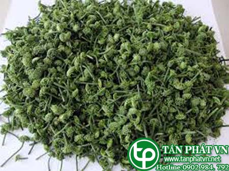 Địa chỉ bán nụ hoa tam thất tại Đà Nẵng giúp ăn ngủ ngon