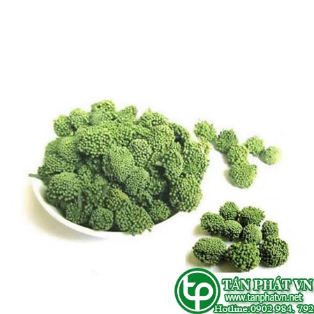 Địa chỉ bán nụ hoa tam thất tại Đồng Nai giúp ăn ngủ ngon