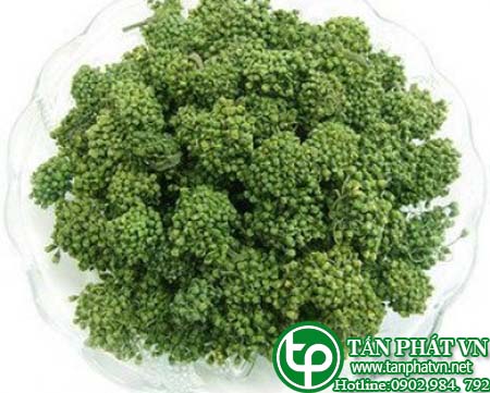 Địa chỉ bán nụ hoa tam thất tại Vũng Tàu chữa thiếu máu