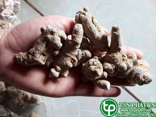 Địa điểm bán củ tam thất bắc tại Củ Chi bổ huyết