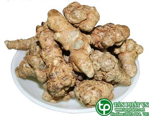 Địa điểm bán củ tam thất bắc tại Phú Nhuận điều hòa miễn dịch