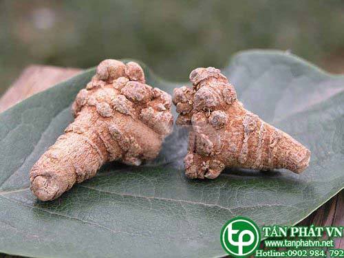 Địa điểm bán củ tam thất bắc tại Tân Phú bổ huyết