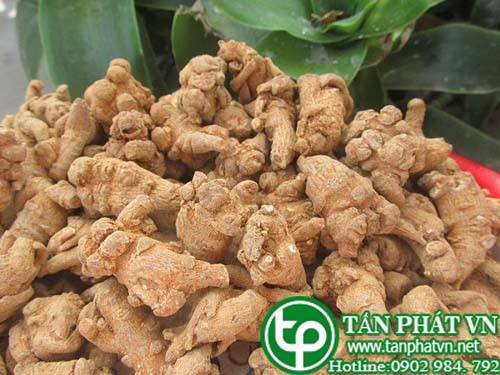 Địa điểm bán củ tam thất bắc tại Thủ Đức tăng sức đề kháng
